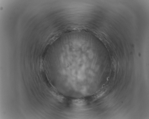 X0000075830511200610061825