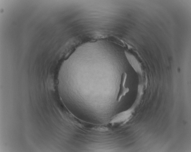 X0000075830512200610061825