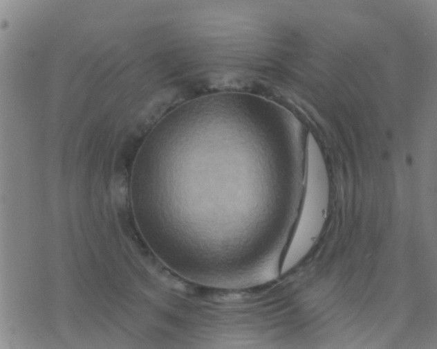 X0000075830513200610061825