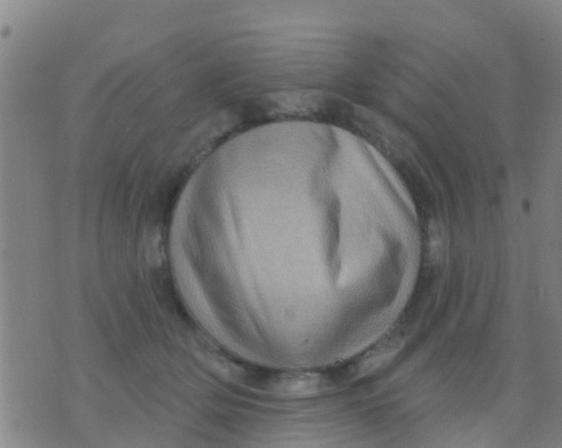 X0000075830514200610061825