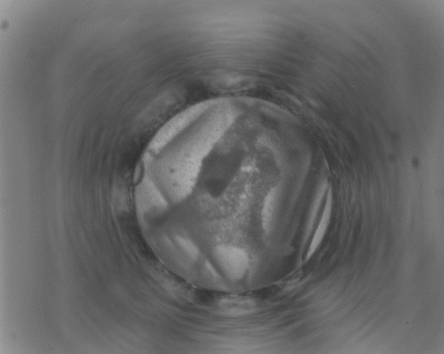 X0000075830515200610061825