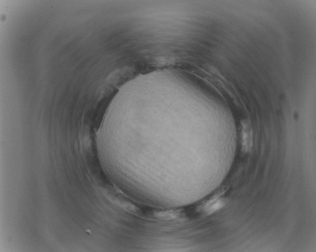 X0000075830516200610061825