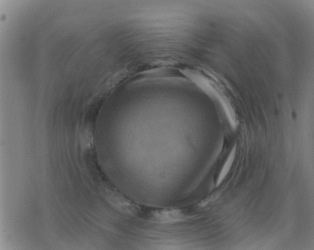 X0000075830517200610061825