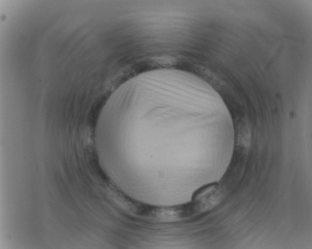 X0000075830518200610061825