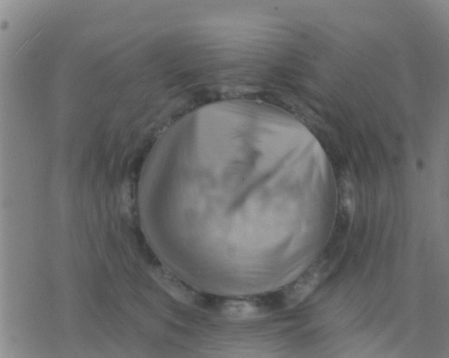 X0000075830519200610061825