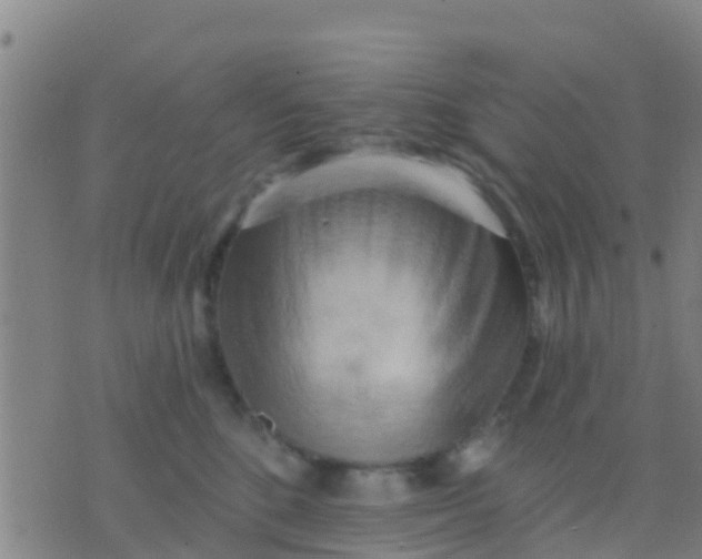 X0000075830520200610061825