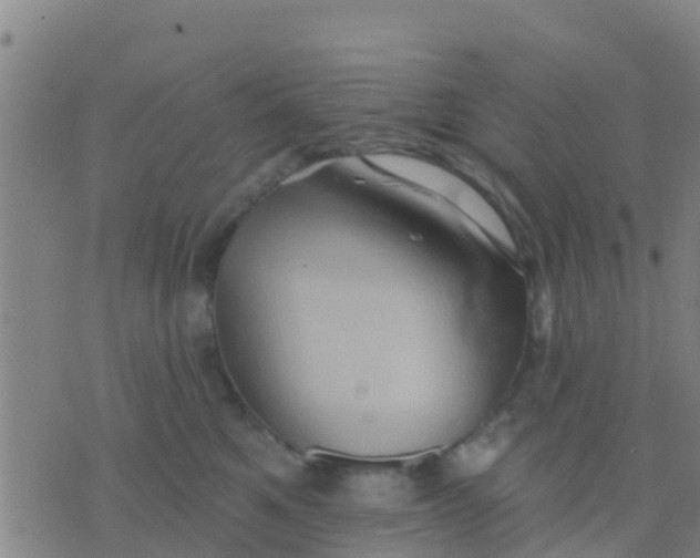 X0000075830521200610061825