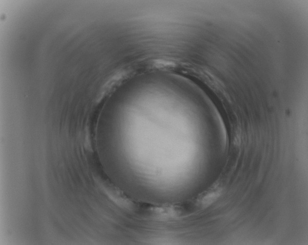 X0000075830524200610061825