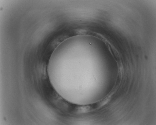 X0000075830525200610061825