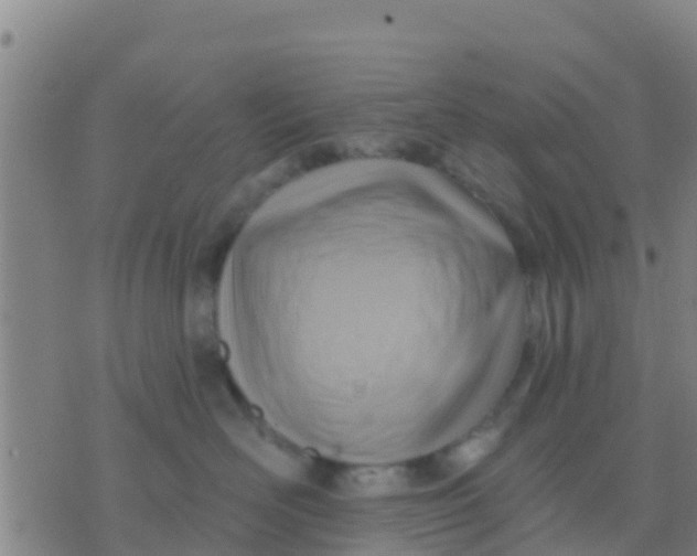 X0000075830526200610061825