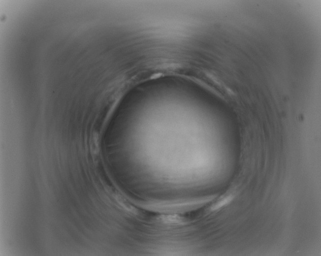 X0000075830528200610061825