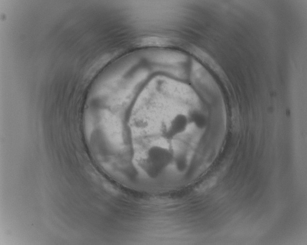 X0000075830529200610061824