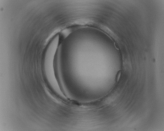 X0000075830530200610061824