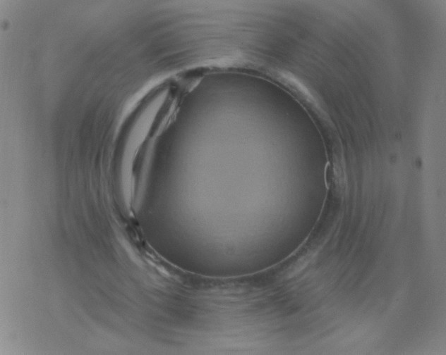 X0000075830532200610061824