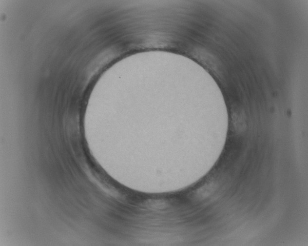 X0000075830534200610061824