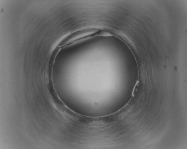 X0000075830536200610061824