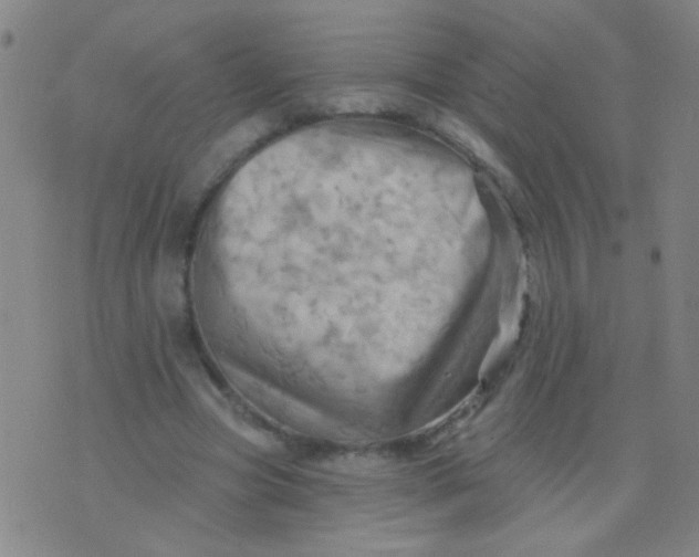 X0000075830537200610061824