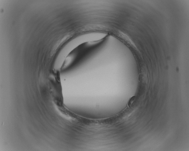 X0000075830538200610061824