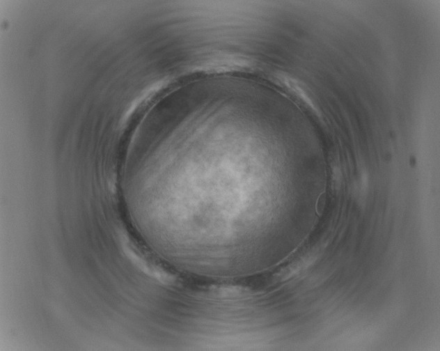 X0000075830539200610061824