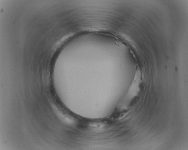 X0000075830540200610061824