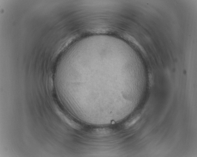 X0000075830541200610061824