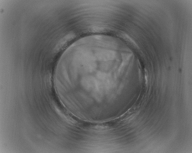 X0000075830542200610061824