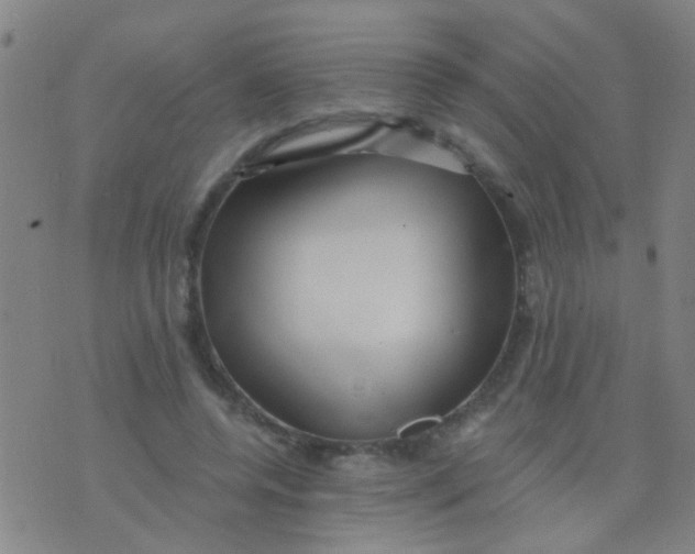 X0000075830544200610061824