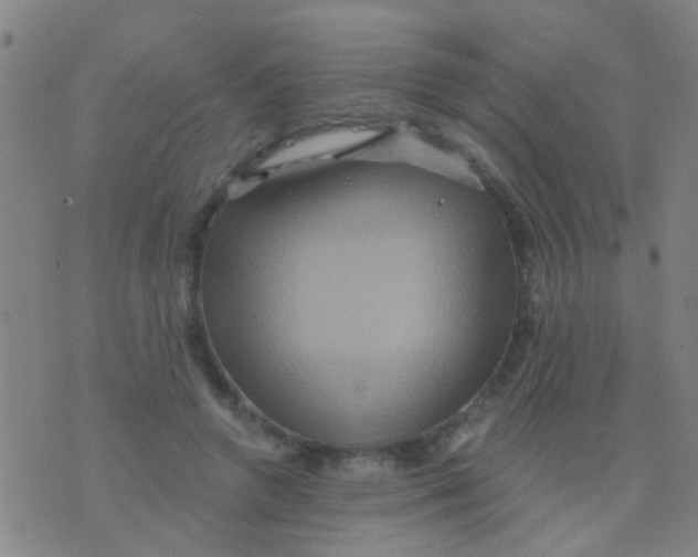 X0000075830546200610061824