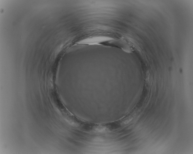 X0000075830547200610061824