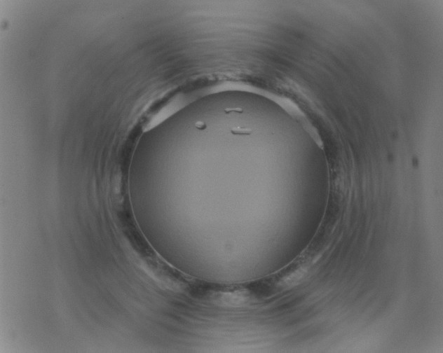 X0000075830548200610061824