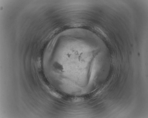 X0000075830549200610061824