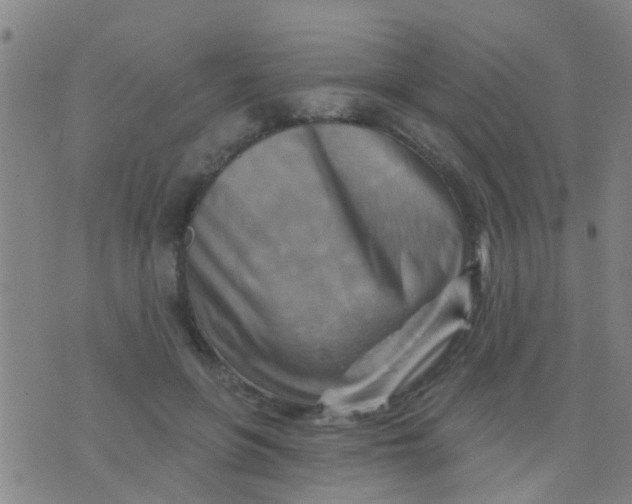 X0000075830551200610061825