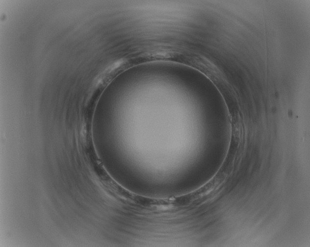 X0000075830552200610061825