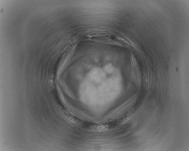 X0000075830553200610061825