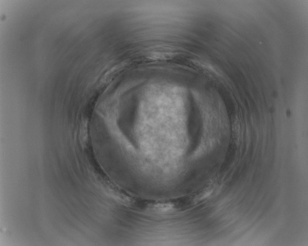 X0000075830554200610061825