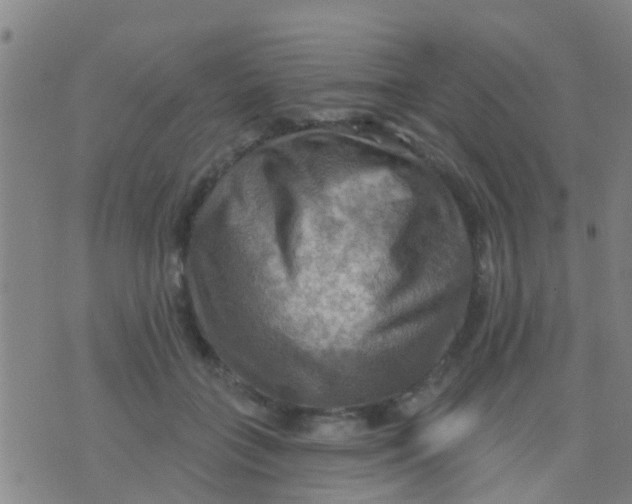 X0000075830555200610061825