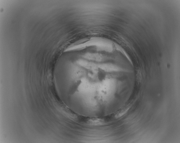 X0000075830557200610061825