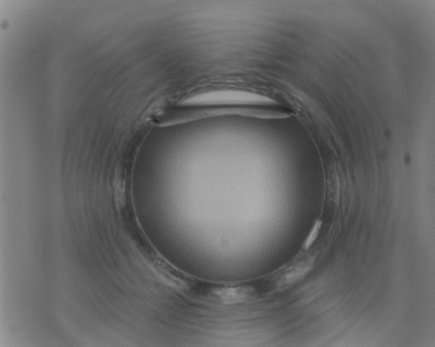 X0000075830558200610061825