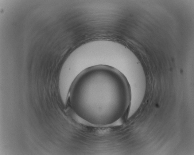 X0000075830560200610061825