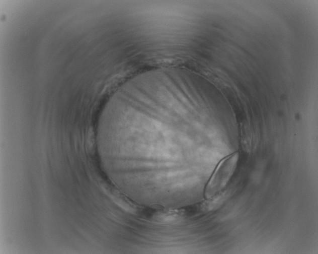 X0000075830563200610061825