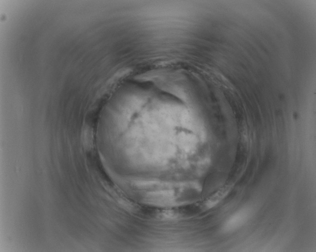 X0000075830565200610061825