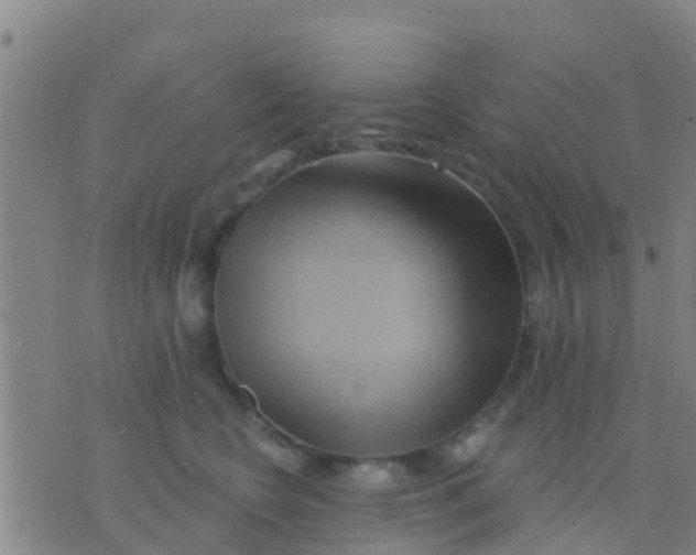 X0000075830566200610061825