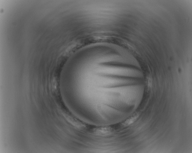 X0000075830567200610061825