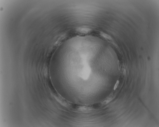 X0000075830568200610061825