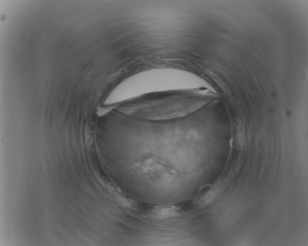 X0000075830569200610061825