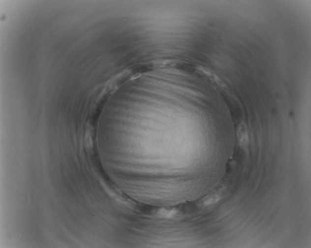 X0000075830570200610061825