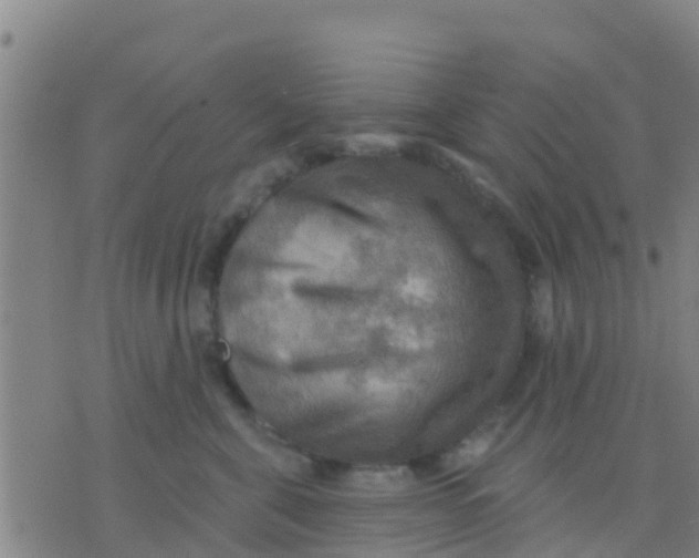 X0000075830571200610061825