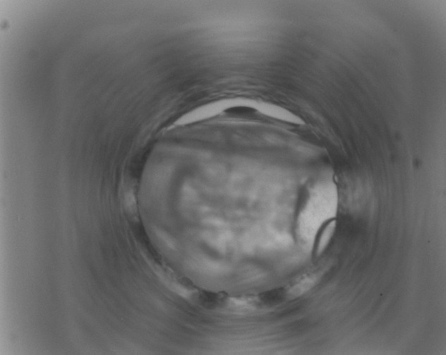 X0000075830573200610061825