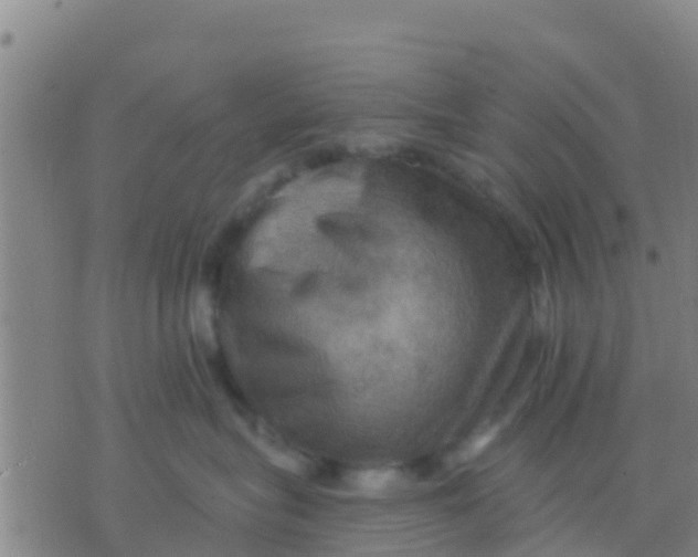 X0000075830575200610061825