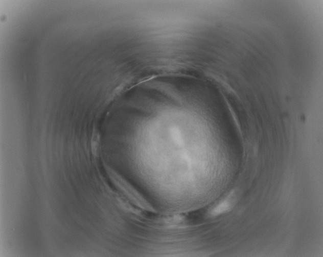 X0000075830576200610061825